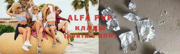 индика Богородицк