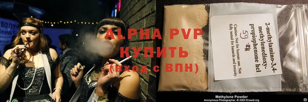 индика Богородицк