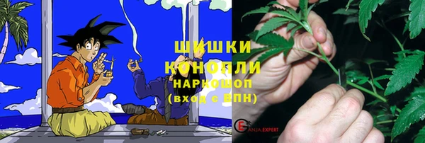 индика Богородицк