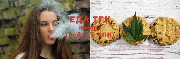 индика Богородицк