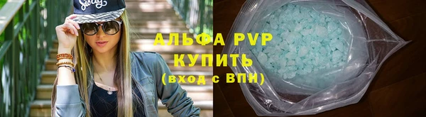 индика Богородицк