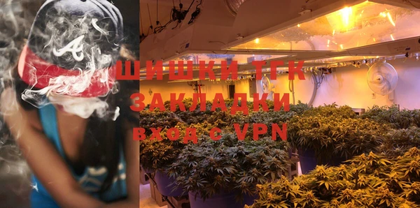 индика Богородицк