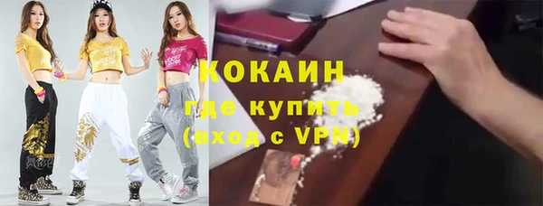 индика Богородицк