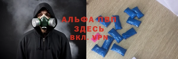 индика Богородицк