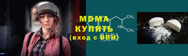 индика Богородицк