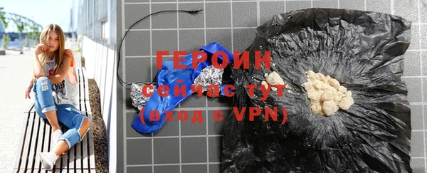 индика Богородицк