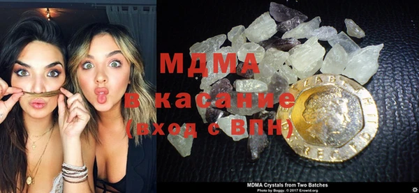 индика Богородицк