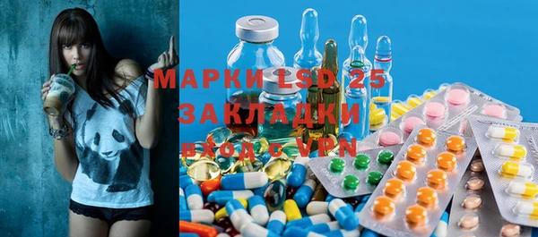 индика Богородицк