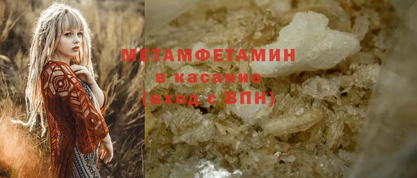 индика Богородицк