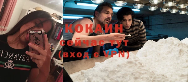 мяу мяу мука Богданович