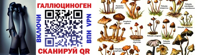 даркнет сайт  Приволжский  Псилоцибиновые грибы Psilocybe 